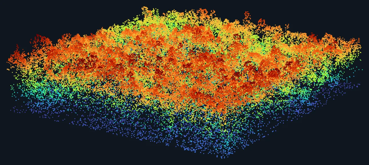 Colorized 3D LiDAR point cloud — canopy-to-ground elevation gradient